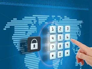 成都高新首創(chuàng)“自貿(mào)通” 融資、降費(fèi)與網(wǎng)絡(luò)技術(shù)服務(wù)一體化解決方案